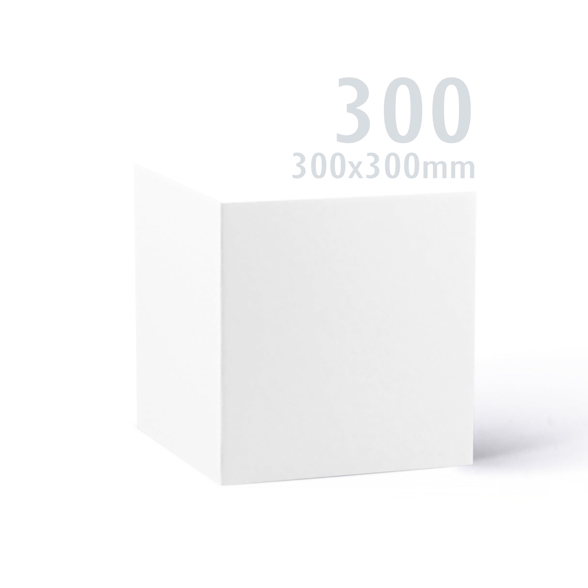 300x300 Biała kartka Premier 250 g/m² opakowanie