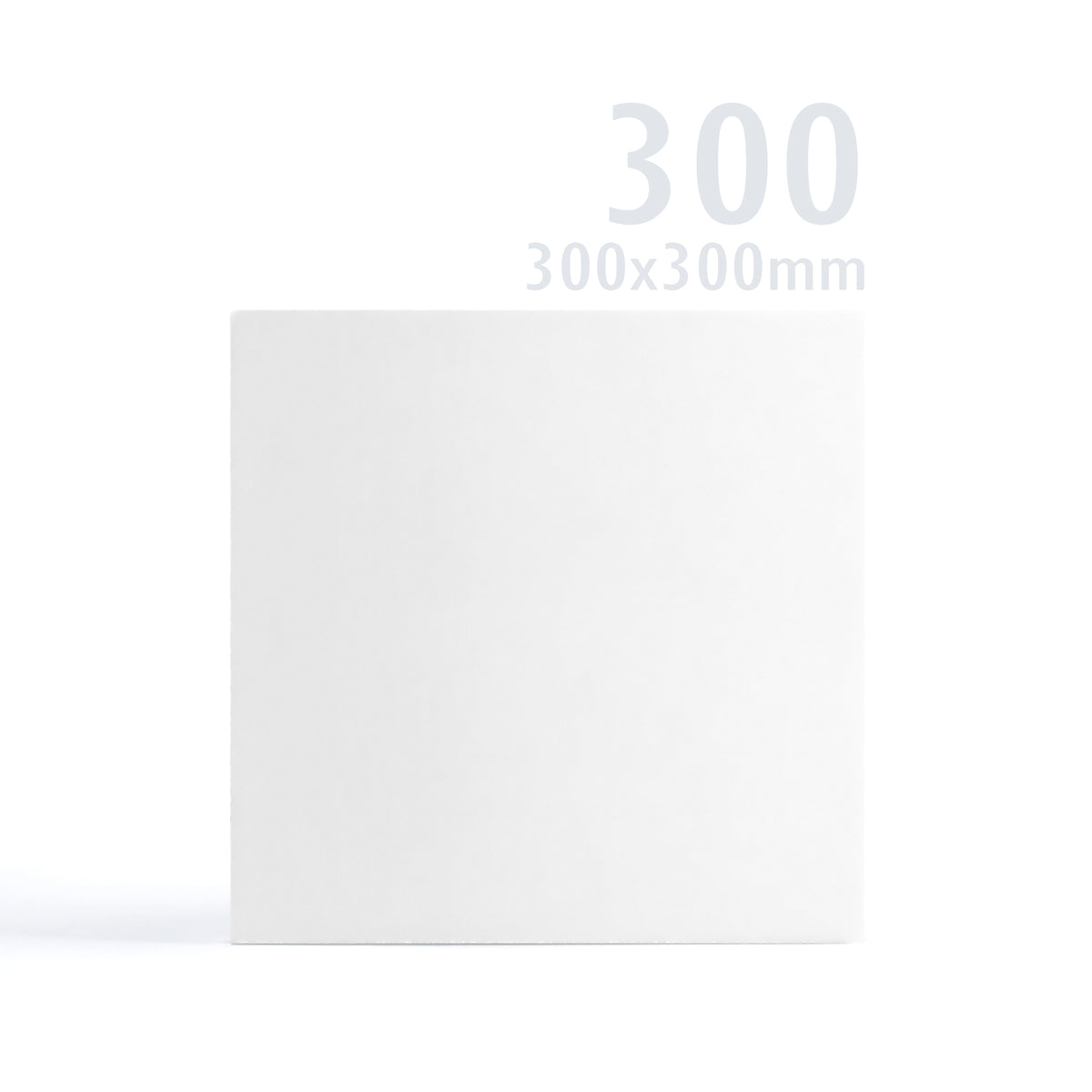 300x300 Biała kartka Premier 250 g/m² opakowanie