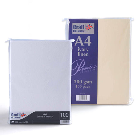 Kartka 300 g/m² opakowanie 100 szt.