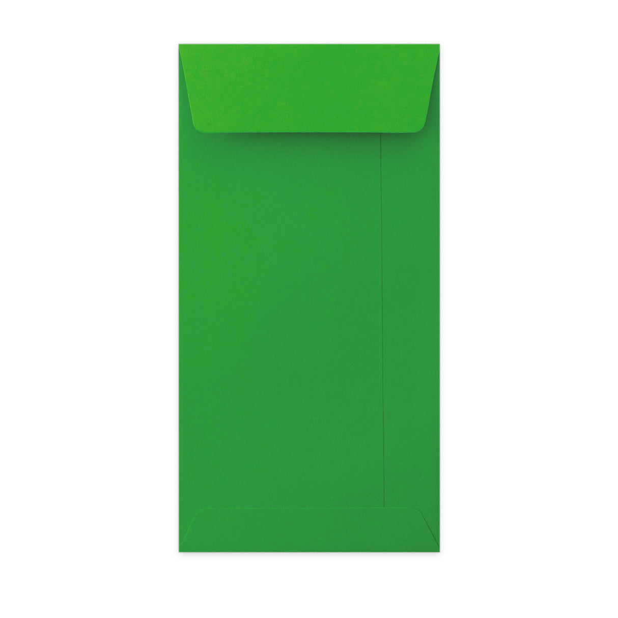 220x110 mm (DL) Zielona woreczkowa koperta