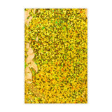 Holograficzne koperty foliowe